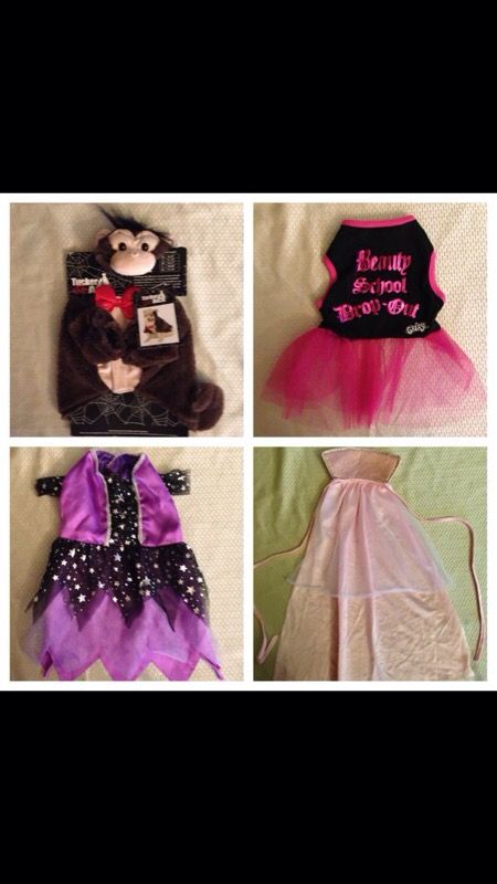 Pet costumes