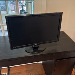 Computer Monitor (Hannspree)