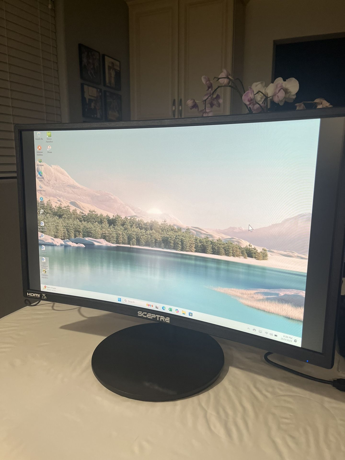 SCEPTRE 24” Curved Monitor