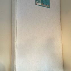 Free Waterproof Crib/Toddler Mattress