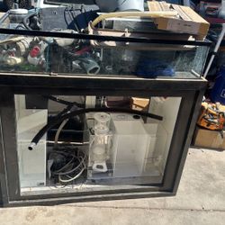 Salt Water Fish Tank And Stand