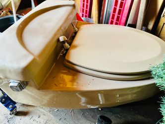 Kohler toilet