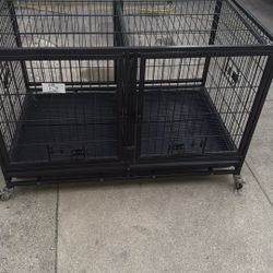 Dog Kennel