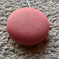 Google Nest Mini