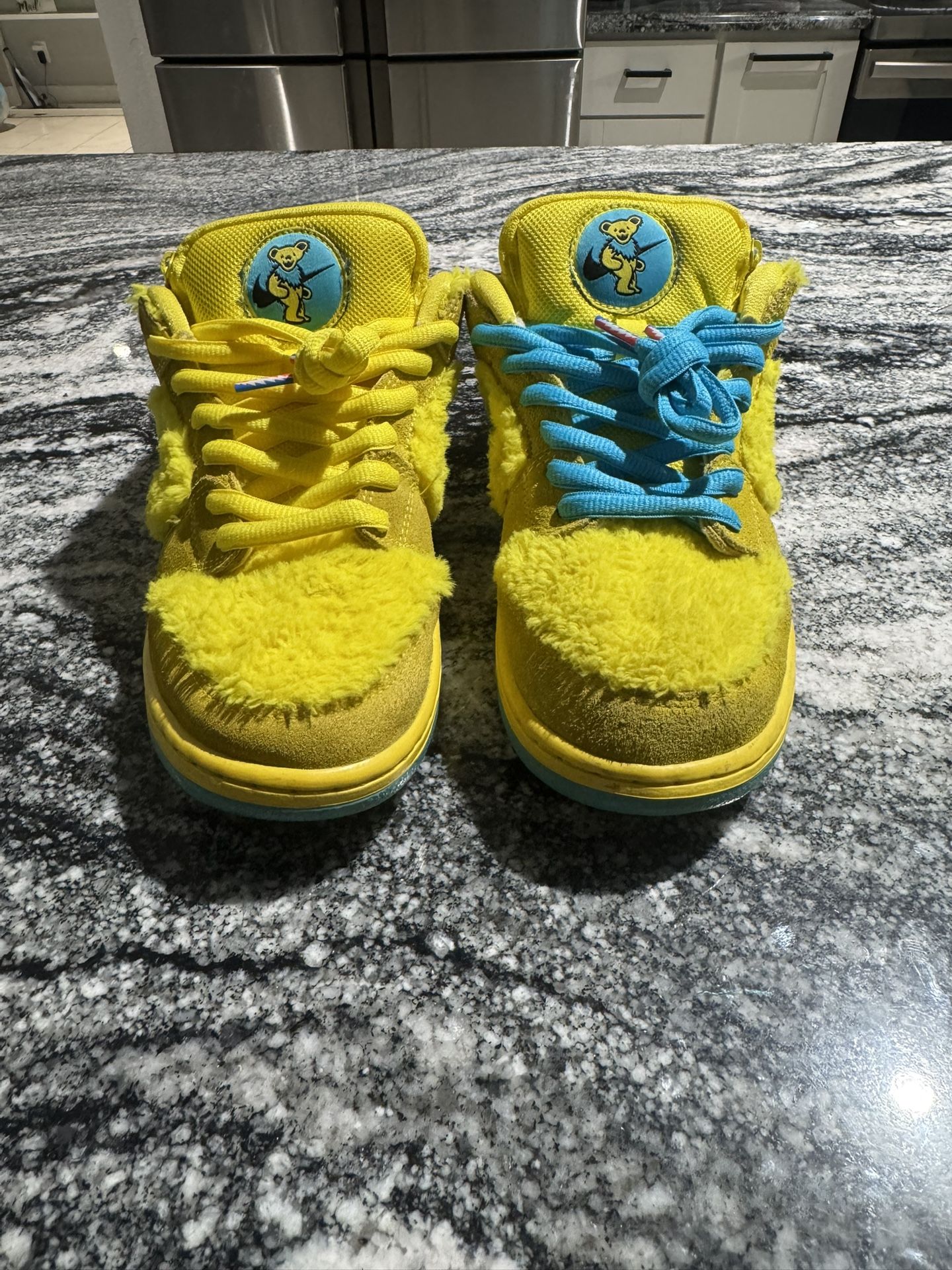 Nike SB Dunk Low Pro QS