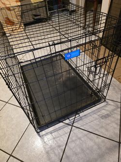 AkC Kennel Gage (Medium)