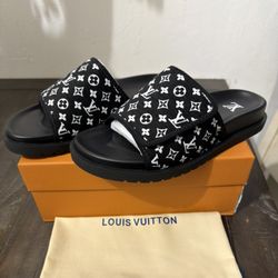 LV Slides 