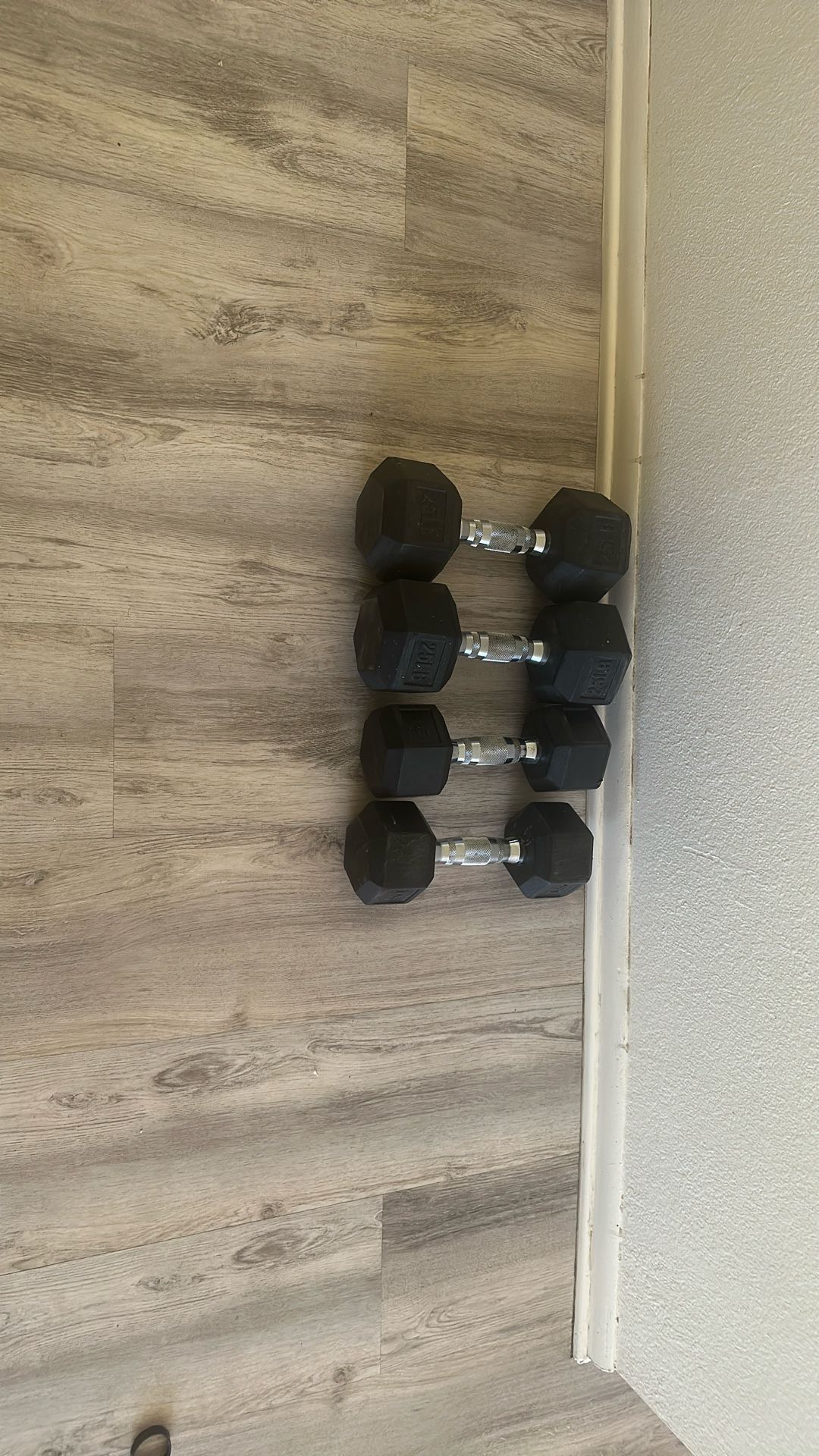 25s & 15 Lbs Dumbbells