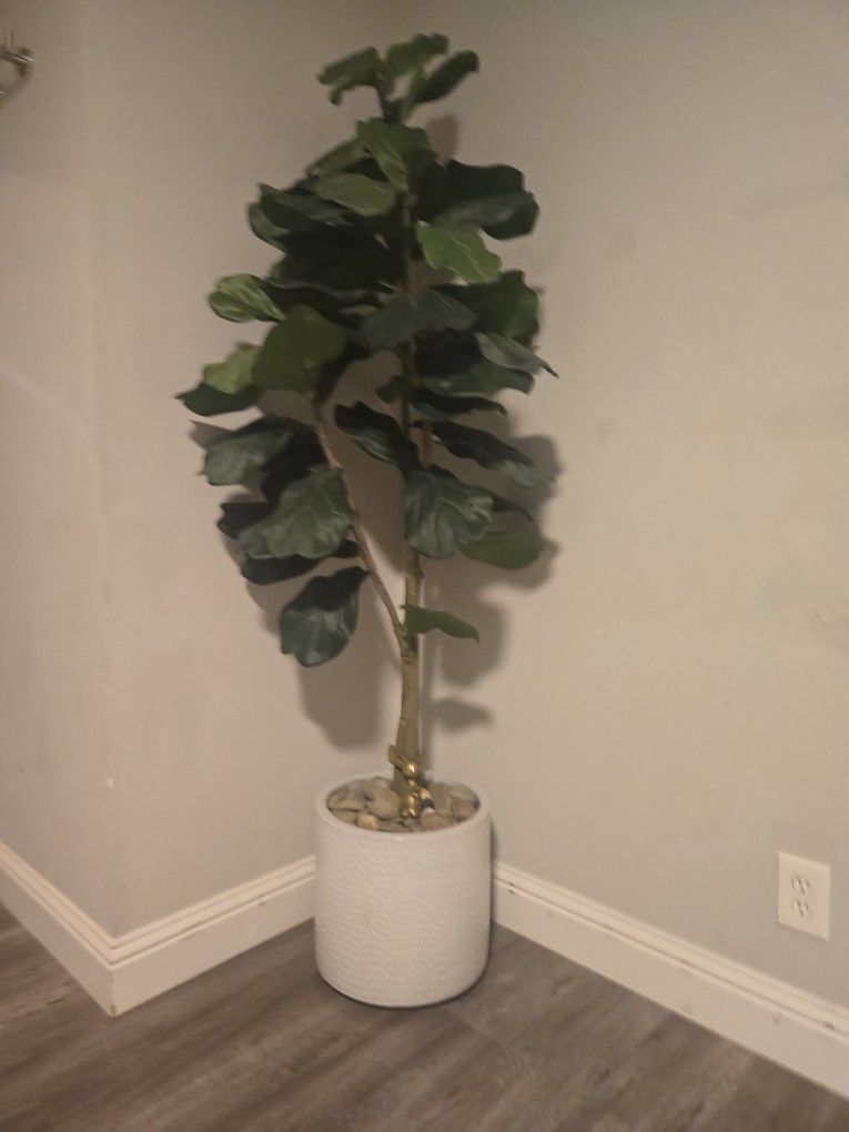 Fake Fiddle Leaf Plant 6 Feet