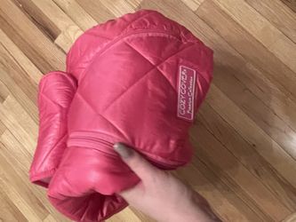 Girl Car seat Covers