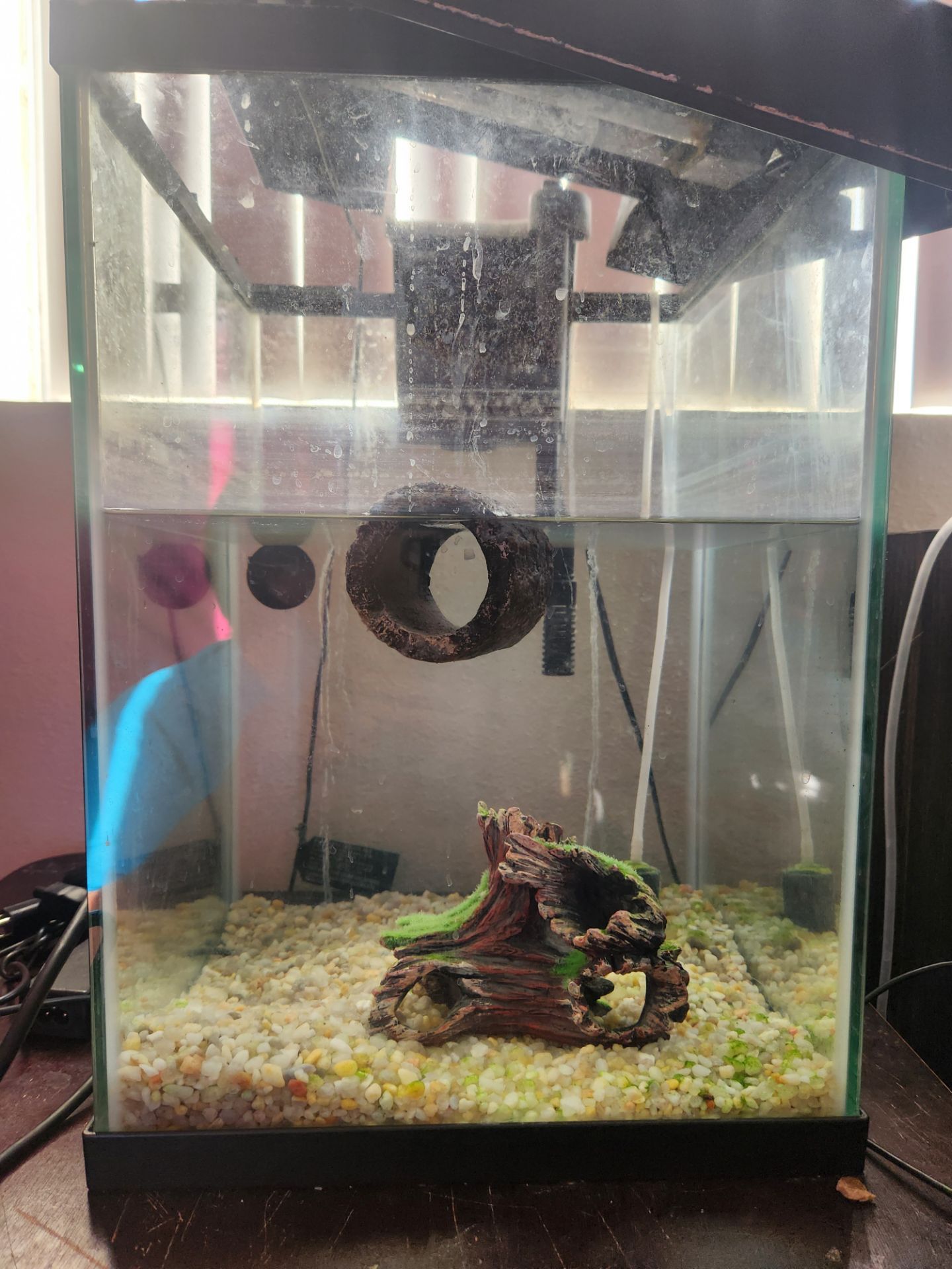 Fish tank with everything