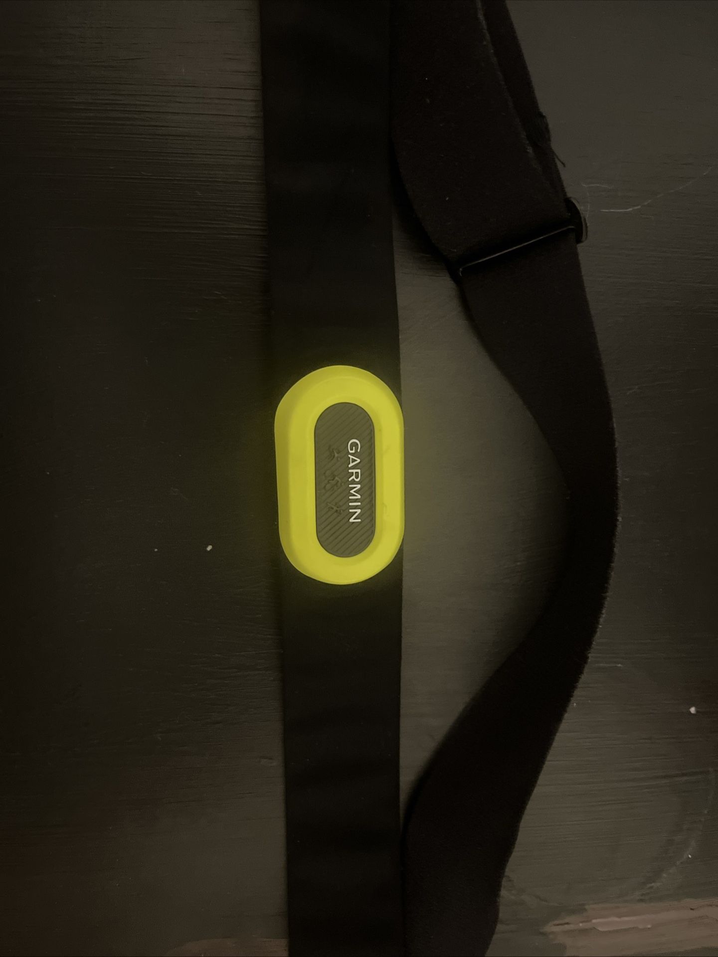 Garmin Heart Rate Monitor