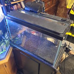 20 Gallon Fish Tank Aquarium with stand