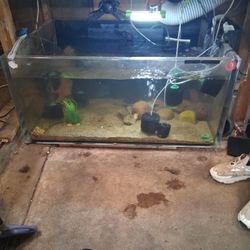 🤩🤩FREE🤯  48"×34" 150gal. FREE!!!!!!!