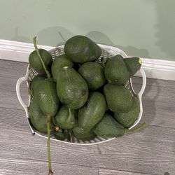 Comes From A Good Tree