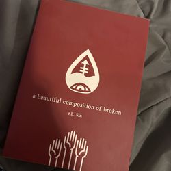 a beautiful composition of broken by r.h Sin poem book