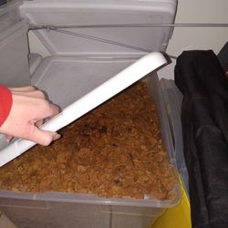 Coco coir and chip substrate for reptiles