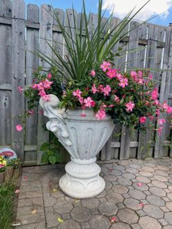 Concrete Planters!