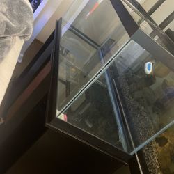 75 Gallon Fish Tank And Stand 