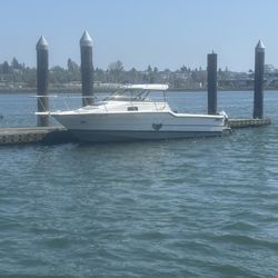 1995 bayliner  trophy hard top