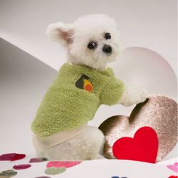 NWT Andrea’s Deals Fruit Dog Sweater Green Small