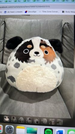 Squishmallows Raylor the Australian Shepherd 16" No Tag Used