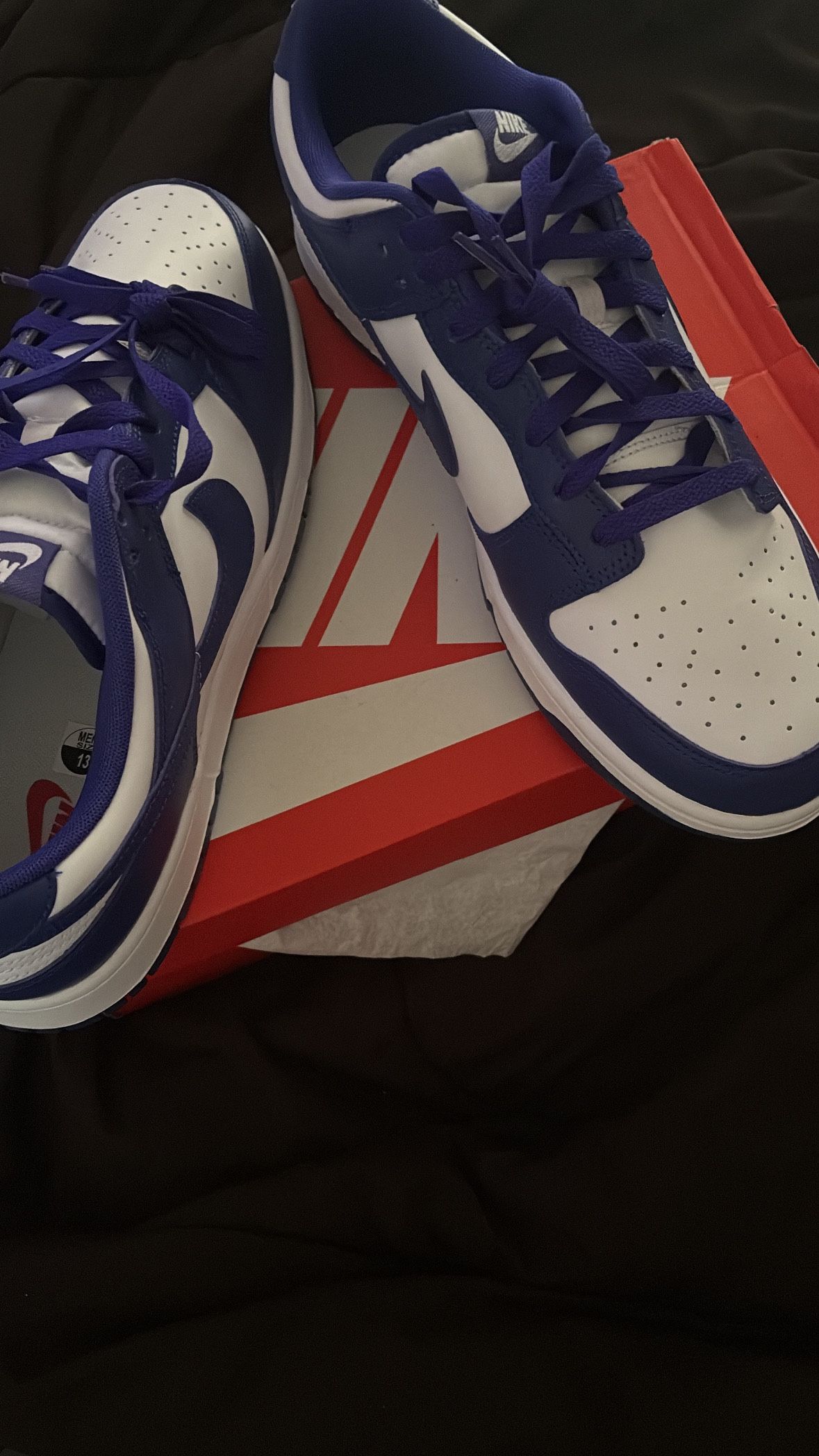 Nike Dunk Low