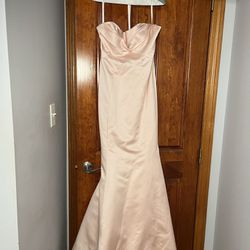 Truly Zac Posen Dress (Prom Dress / Wedding Guest Dress)