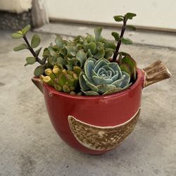 Ceramic Bird Succulent