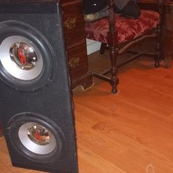 Pro Box Amp And Speakers