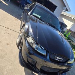 1999 Ford Mustang