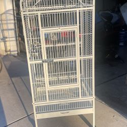 Bird Cage 