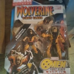 2010 Wolverine Action Figure 