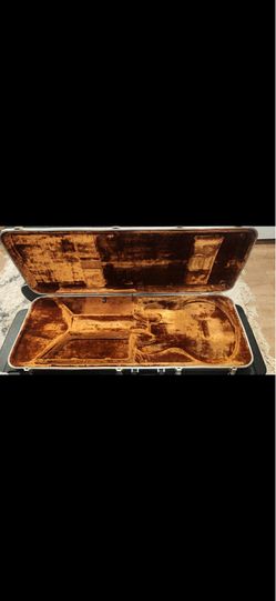 Pervert guitar case