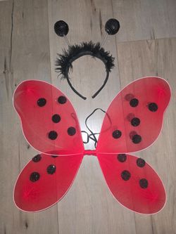 LADYBUG WINGS WITH STRAPS AND ANTENNA HEADBAND