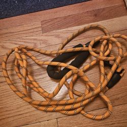 Training Leash 