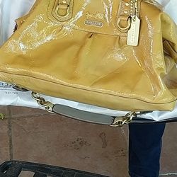 Coach Mustard Color
