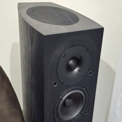 Pioneer Atmos Surround Speaker 