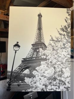 Paris canvas