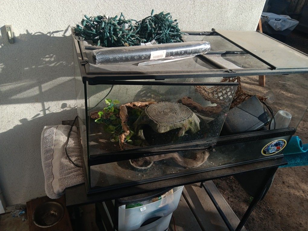 Reptile Aquarium