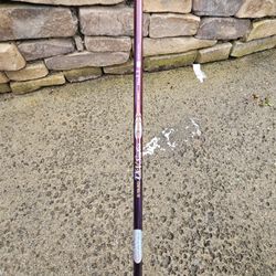 Lady Drive S- Yard