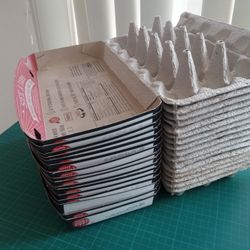 Pulp Egg Cartons
