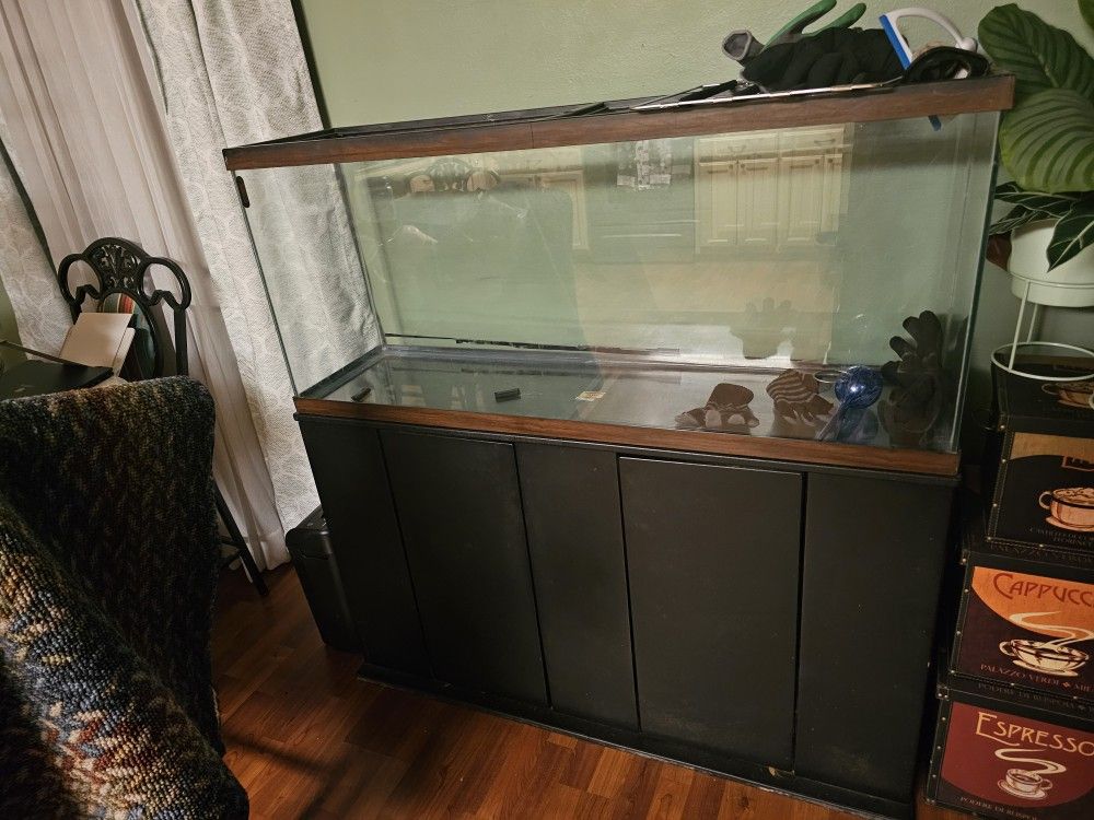 Fish Tank