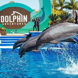 Sea World tickets 