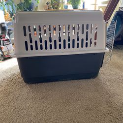 Large dog. Crate toCrate to gift or sell