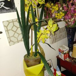 Beautiful Artificial Plant 8 Firm Look My Post Alot Items