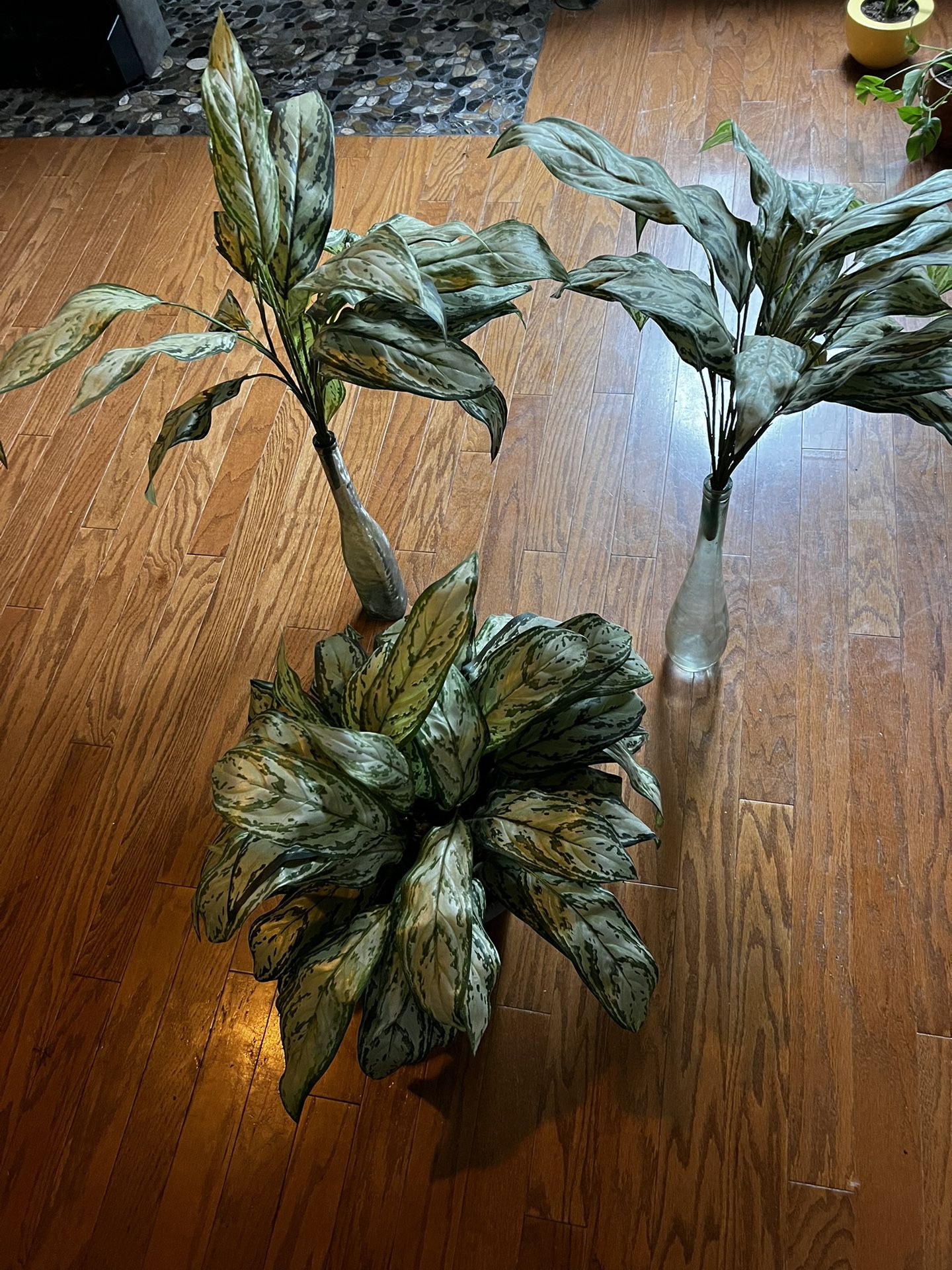 Fake Plant(s)