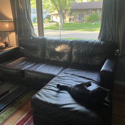 Back Leather Couch 
