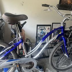 Comfort bike