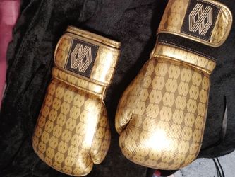 Floyd Mayweather Fitness Boxing Gloves